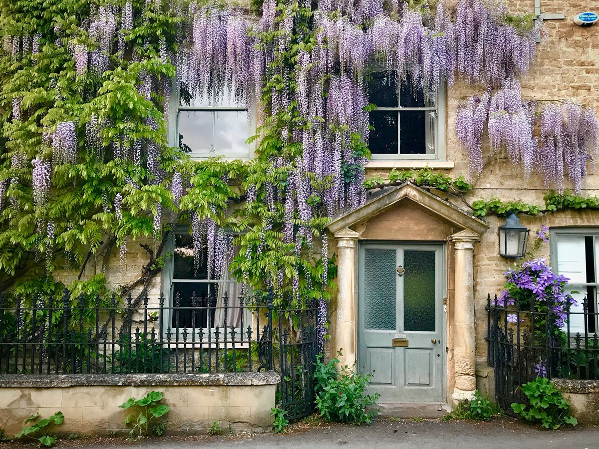 AtelierBelfast's tweet photo. Wisteria hysteria. The charm of the English countryside 💜 #busisnesstrip #oxfordshireproject #pituresque #englishcountryhouse #atelierinteriordesign #interiordesigner #belfast #london #algarve https://t.co/MYmLz68kOQ