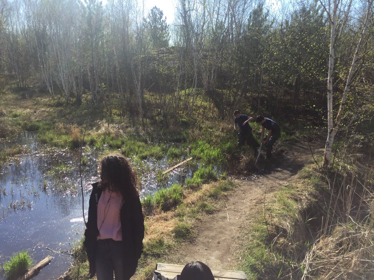 LoEllenScience's tweet photo. It's that time of year! #Mesocosm studies! @lepsstoday Grade 9 IB-Prep students will now start collecting their data. https://t.co/98zRZi6vLc