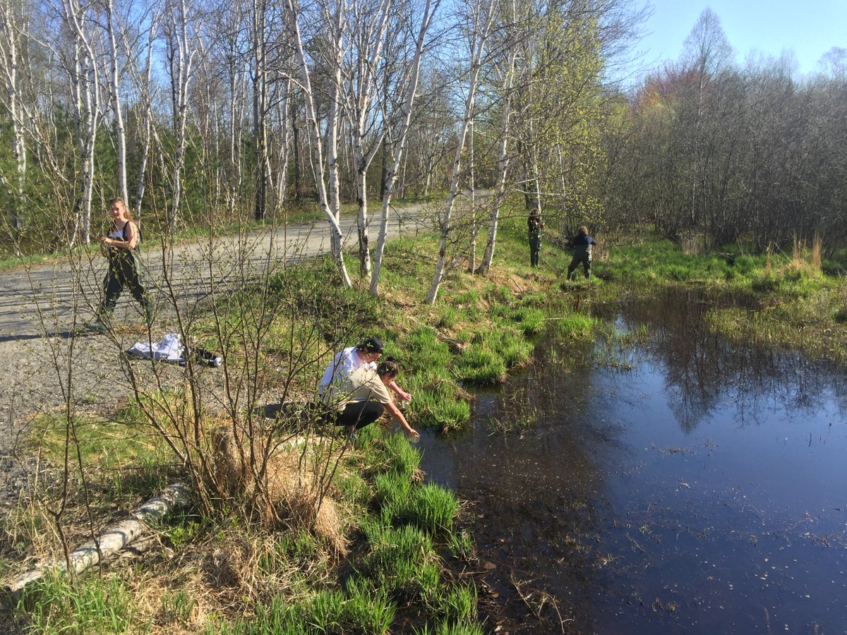 LoEllenScience's tweet photo. It's that time of year! #Mesocosm studies! @lepsstoday Grade 9 IB-Prep students will now start collecting their data. https://t.co/98zRZi6vLc