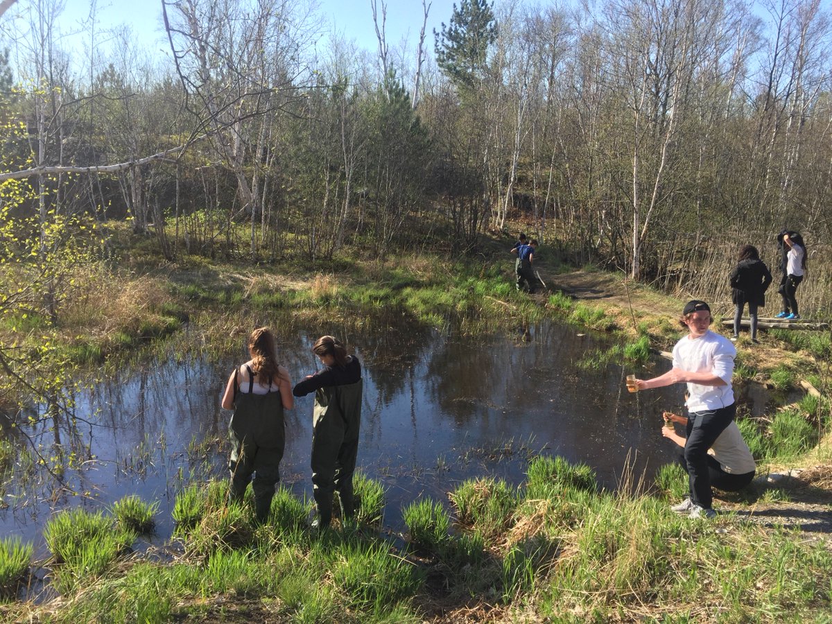 LoEllenScience's tweet photo. It's that time of year! #Mesocosm studies! @lepsstoday Grade 9 IB-Prep students will now start collecting their data. https://t.co/98zRZi6vLc