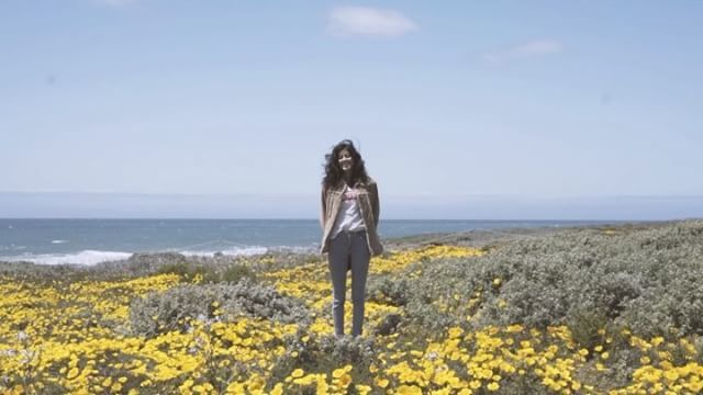 805aerial's tweet photo. North Coast Explores with @itsmeekrissy 🎶 by @tastytreatmusic #805 #hwy1 #california #dji #sony Watch #Instavideo:https://t.co/S4U899d0iU https://t.co/VTen0alznu