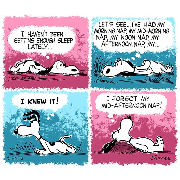 Snoopy's tweet photo. Getting in that mid-afternoon nap. https://t.co/uH7yk3va9p