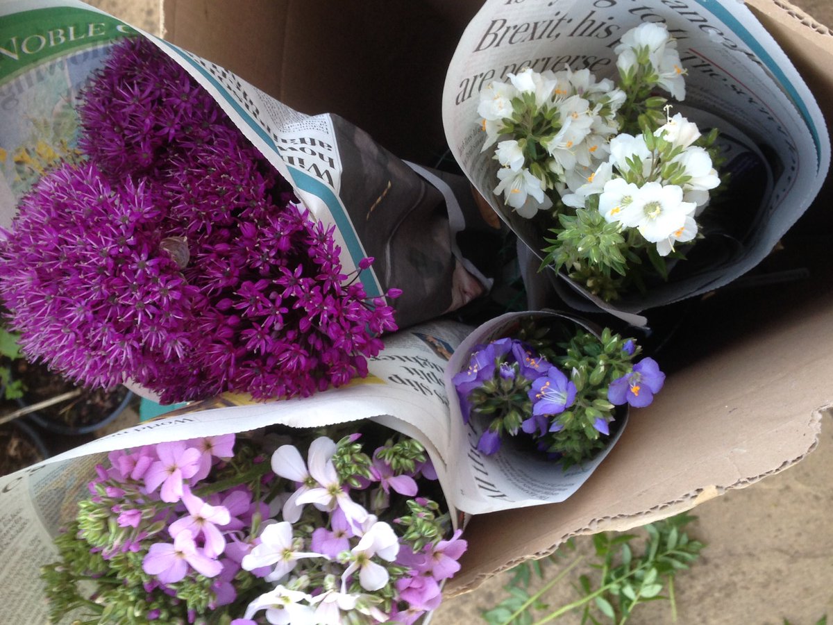 FlowerFusions's tweet image. Ready for the off, early start in the morning headed for @Flowers_ft_Farm #chelseaflowers #grownforchelsea #britishflowers