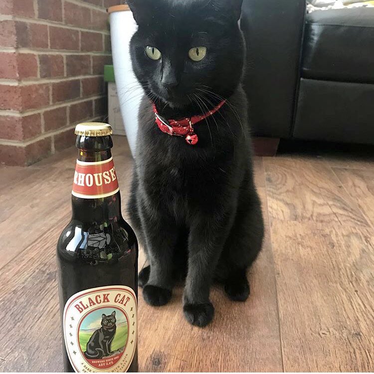 RacheyCurry's tweet photo. @Moorhousesbrew Fergus is loving your #blackcat @mwoods83 and him are having boys night in https://t.co/OWaPM0FmLn