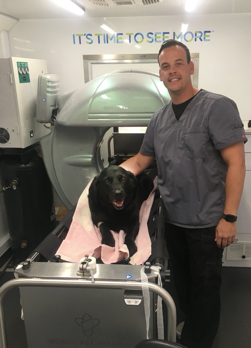 MPIvetimaging's tweet photo. Gail getting ready for her CT scan session, which included: • Skull and abdomen (pre and post contrast scans) • Chest scan w/ contrast  Thank you, Dr Wiese for letting us be part of the Bustillo Animal Hospital diagnostic team!  #itstimetoseemore   @MiamiVetClinic https://t.co/tliAJS2Bpr