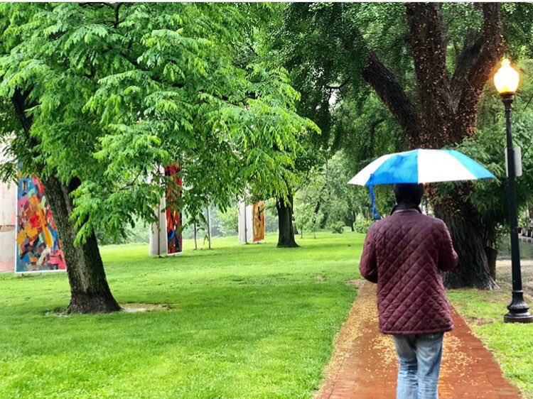 DCDPR's tweet photo. Even in the rain ☔️ the colors pop! #TheOrangeStep HUGE Outdoor Art exhibit in Rose Park #Gerorgetown until June 2. https://t.co/gb57Zf72OD for info @kiriljeli https://t.co/A85csg6A6Y