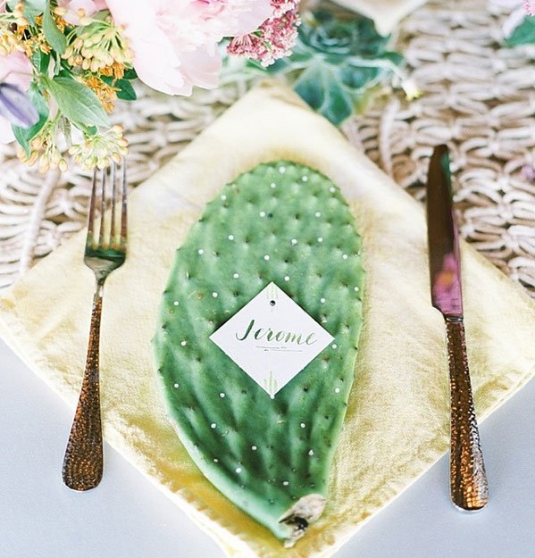 Sendomatic's tweet photo. Darling & prickly tabletop name card idea! PC: @benqphotography
#tabletop #tablescapes #weddinginspo #cactus #sendomatic #livefolk #liveauthentic #pursuepretty #darlingmoment #thatsdarling #peoplescreatives #flashesofdelight #thehappynow #sendomatic https://t.co/3NBqDXOMu3
