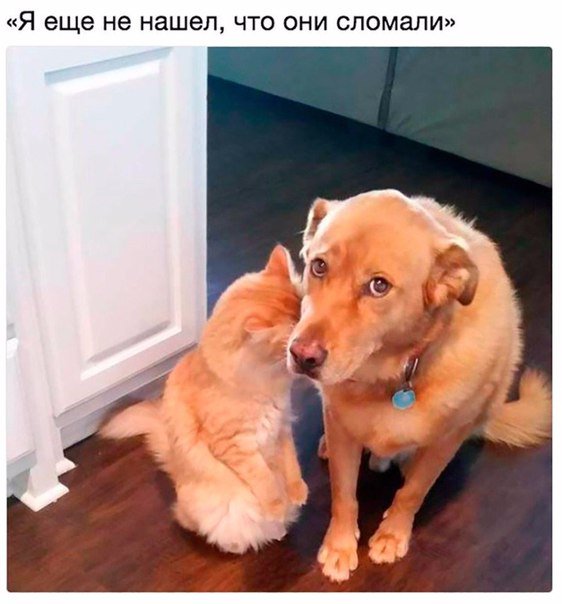 Этот взгляд..