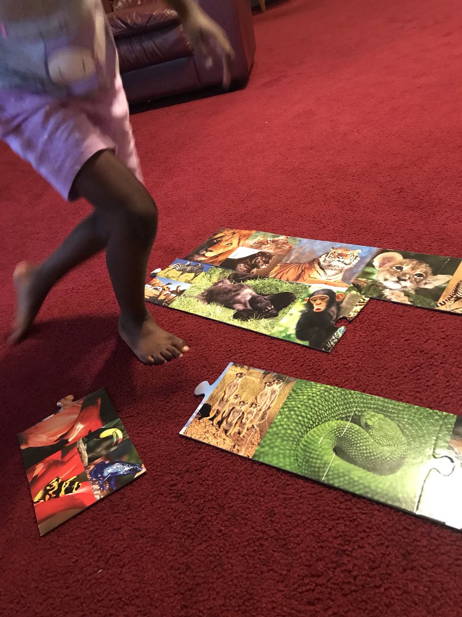 MathwithMorgan's tweet image. Learning about animals with a floor puzzle. #learningstartsathome