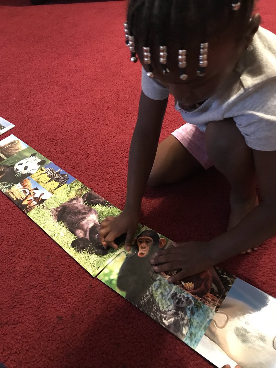 MathwithMorgan's tweet image. Learning about animals with a floor puzzle. #learningstartsathome