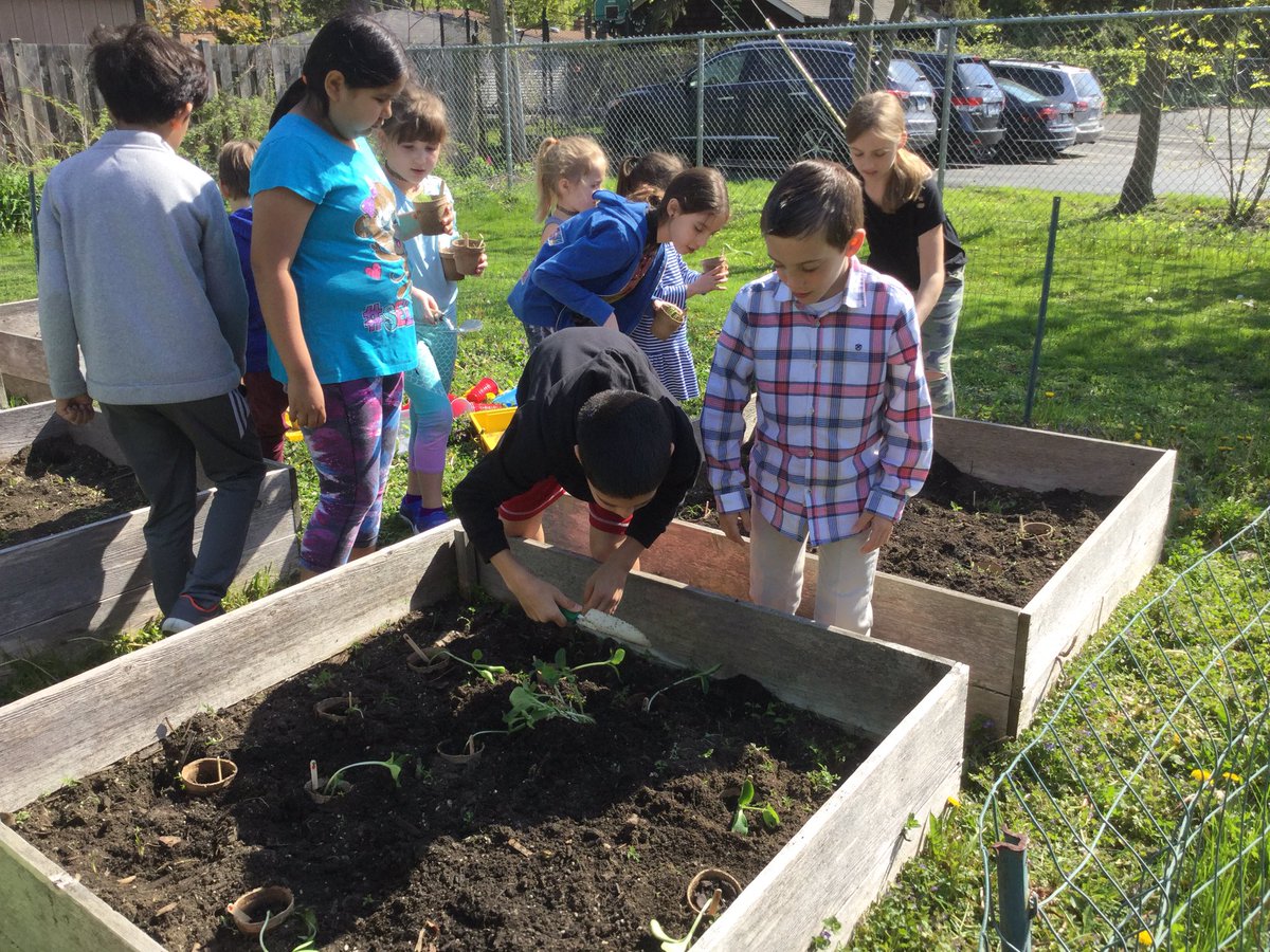MJensen112's tweet photo. Planting pumpkins, sunflowers and carrots in Abe's garden with our 5th grade buddies @LincolnLions112 https://t.co/zaOc3V6oSC