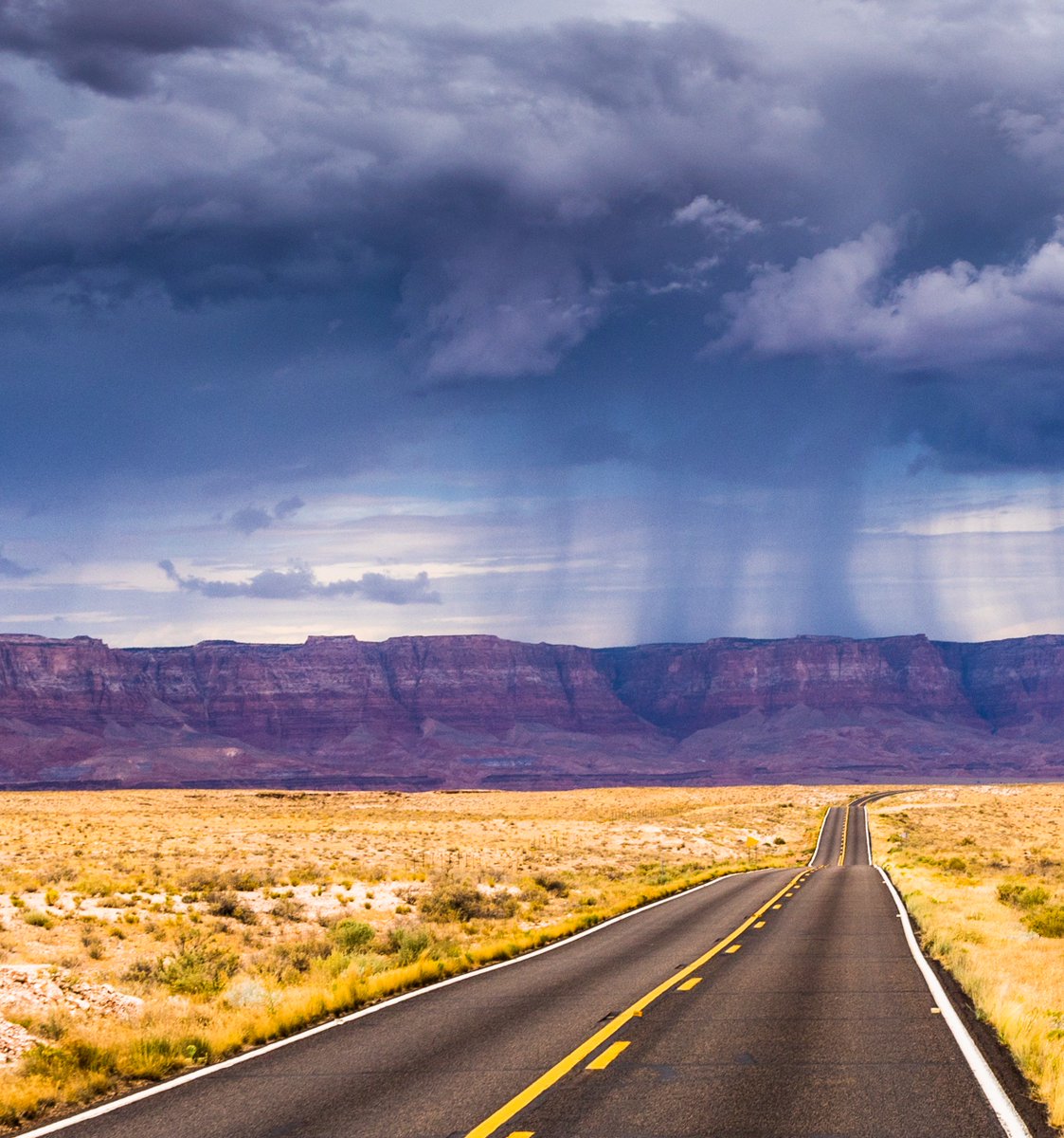 Amir AghaKouchak (@amiraghakouchak) on Twitter photo Nguyen et al. show that warm climate regions exhibit decreasing rainfall trends, while arid and polar climate regions show increasing trends. More on trends across scales in the latest Bulletin of the American Meteorological Society: goo.gl/XcrSas
<a href="/AMS/">Andrés Snitcofsky</a> <a href="/CHRSUCIrvine/">CHRS UC Irvine</a> Nguyen et al. show that warm climate regions exhibit decreasing rainfall trends, while arid and polar climate regions show increasing trends. More on trends across scales in the latest Bulletin of the American Meteorological Society: goo.gl/XcrSas
<a href="/AMS/">Andrés Snitcofsky</a> <a href="/CHRSUCIrvine/">CHRS UC Irvine</a>