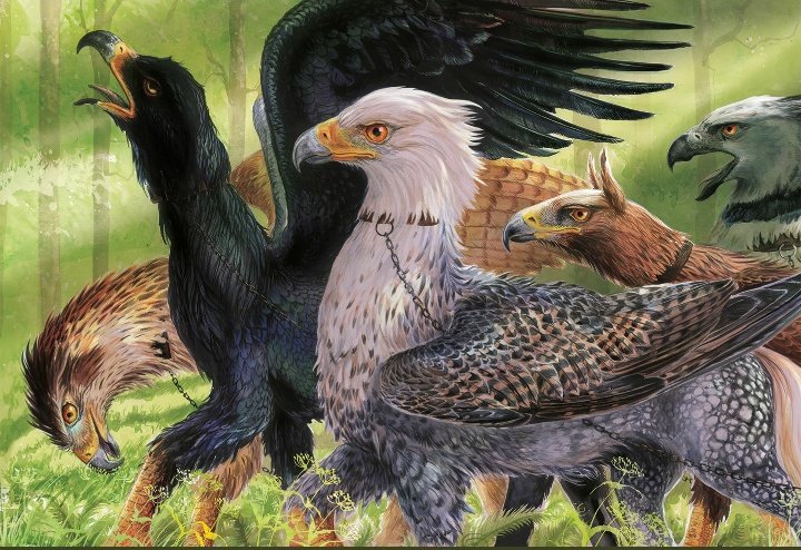 IamWizardRPG's tweet photo. #PremiereWizard
A editora Rocco lançou a versão ilustrada por Jim Kay, do livro Harry Potter e o Prisioneiro de Azkaban.
Confira agora no site da editora: https://t.co/Aoy8Ml9IFE https://t.co/FS4UZvJEGI