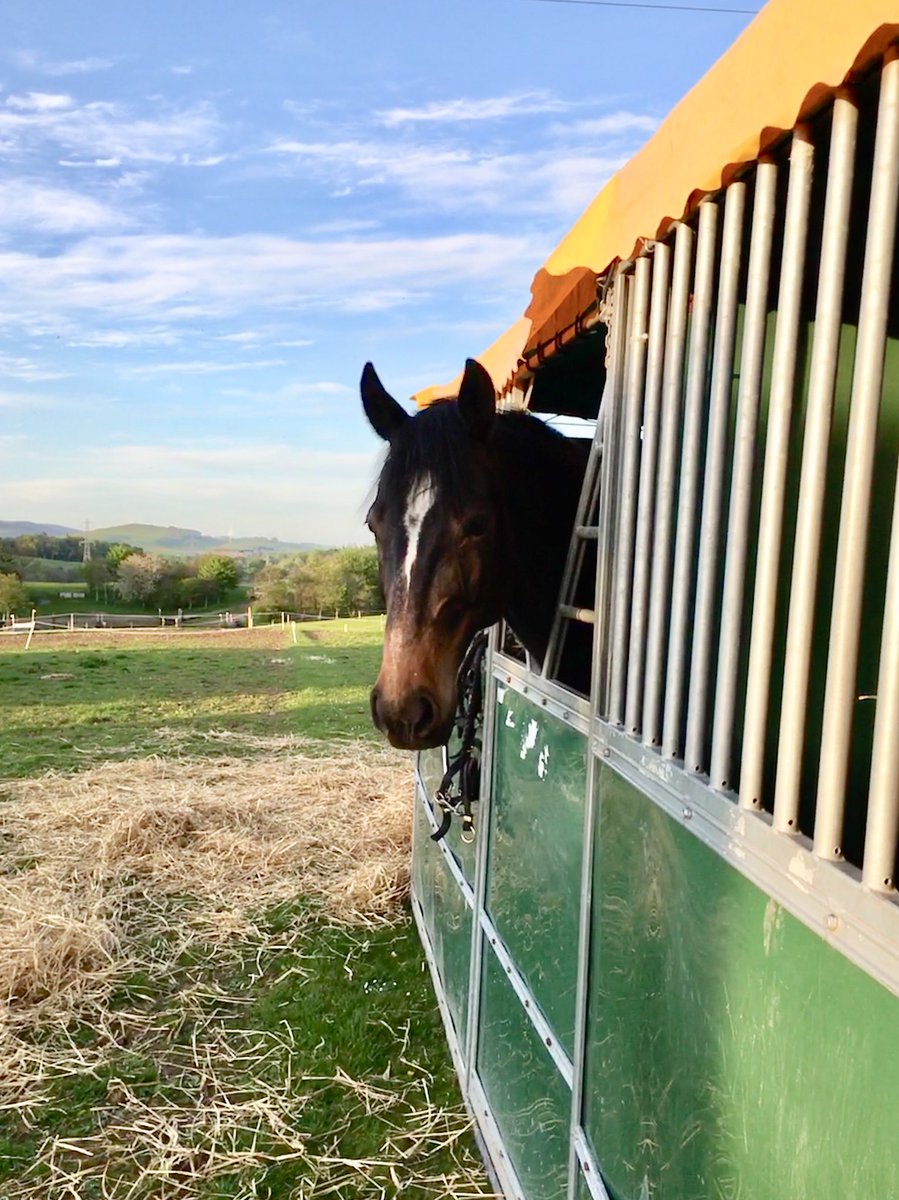 JenCassidyG3's tweet photo. Me and the ponies are off on holiday for the weekend. If you call camping in the lorry, 6am alarm calls and 5 hours riding a day a holiday. Oh how I have changed #BEgoals https://t.co/SBUgIG1vPa