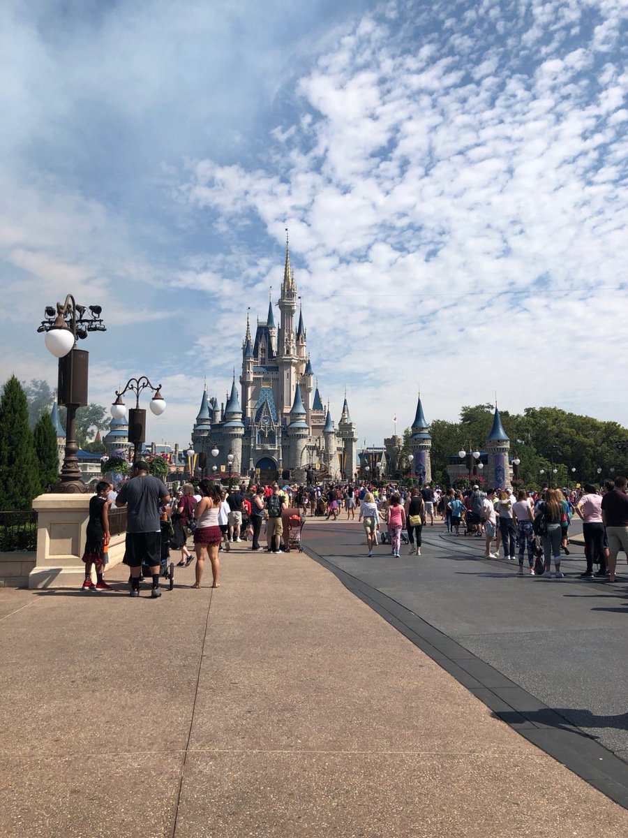 JoiBrozek's tweet photo. Vegan (&amp; Engaged) At Disneyworld?! https://t.co/Qy49ncRpX4 https://t.co/VdGl6G6G2l