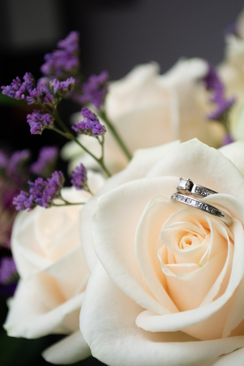 CCO_Photo's tweet photo. I am absolutely in LOVE with my subscription bouquet this month from @TheBouqsCo and decided to play around with my wedding rings.  These roses are just gorgeous and I'm slightly obsessed.

#amateurphotographer #photography #roses #flowers https://t.co/vh2u6LPkkr