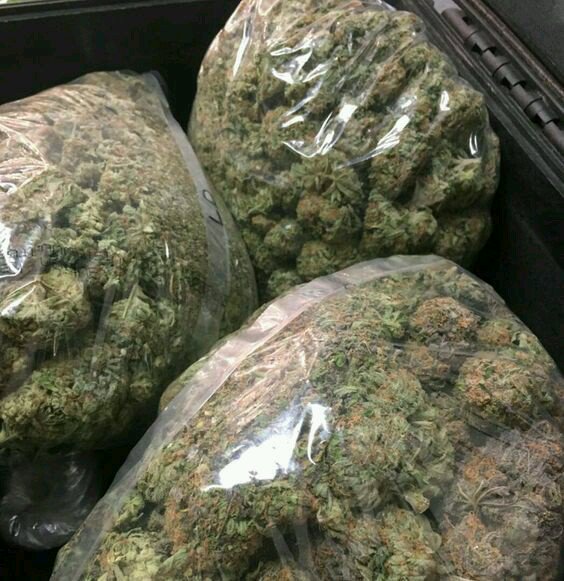 ThomasJ20739428's tweet photo. High quality gas for the soul
#crack #dope #weed #dankstuff #cannabis #weed #topshelf #dankiest #weedfest https://t.co/UZ2yIm6jVK