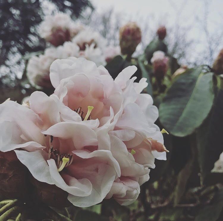 New blog up on Photography tips! Go and check it out😆😆 wotta.co.uk/wottateen.html