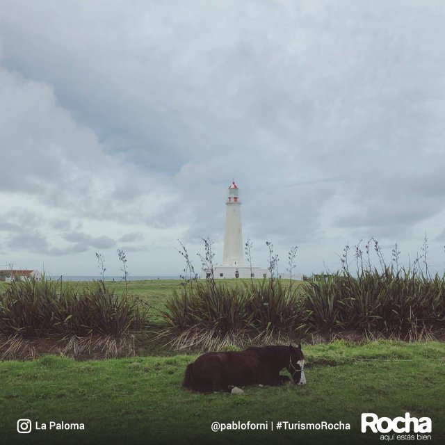 TurismoRocha's tweet photo. ¿Inspiración para el finde largo? 😍
Encuéntrala en #Rocha.
➡️ https://t.co/YvnsQFfZq0 https://t.co/V2JeX2a6Uo