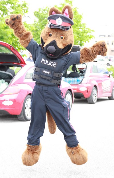 BarriePolice's tweet photo. #BPS24in24 One of our most famous officers is Blue who can be spotted at most @BarriePolice Community Events including #PoliceWeekON! You can also find Blue at many @SOOntario events, the #BPSHomeSafeRun, Community BBQ’s and many of our @SCDSB_Schools & @SMCDSB events! https://t.co/bQr668jz44
