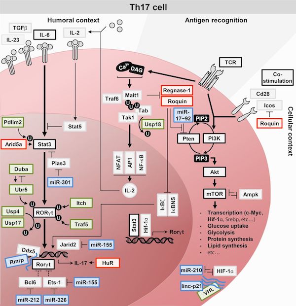 download die gegenwart der zukunft perspektiven zeitkritischer wissenspolitik 2007