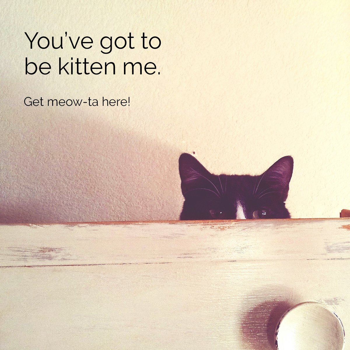 YourDictionary's tweet image. 😹😹😹 Check out more funny animal puns here: bit.ly/2sPNkTd #catsoftwitter #punoftheday #punderful #lol