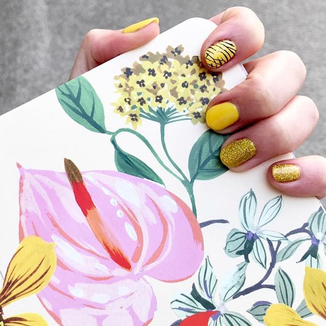 RoosBeach's tweet photo. Thanks to @jocoumbe one of our lovely customers, for this awesome picture of her new notebook from @shopbando π―π¦πΌπ»#myroosbeach #funstationery #prettynotebooks #lovestationery #shoplocal #fun #flowerpower https://t.co/uRKe7i0KyU https://t.co/wHRh4JvZVN
