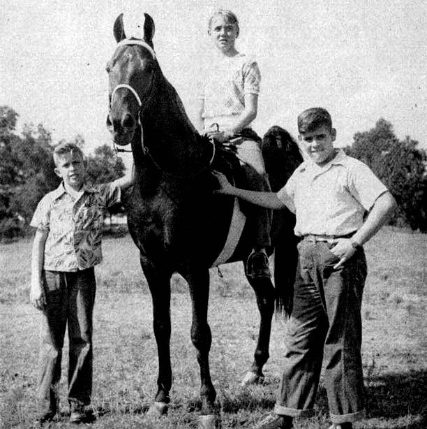 TWHAC's tweet photo. #TBT to the 1948 Tennessee Walking Horse World Grand Champion "Merry Go Boy." #tennesseewalkinghorse #tennesseewalker #TWHNC https://t.co/pVqh61oPq1