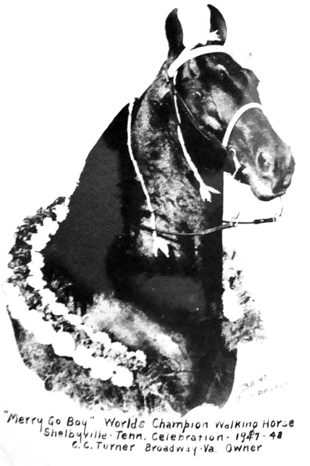 TWHAC's tweet photo. #TBT to the 1948 Tennessee Walking Horse World Grand Champion "Merry Go Boy." #tennesseewalkinghorse #tennesseewalker #TWHNC https://t.co/pVqh61oPq1