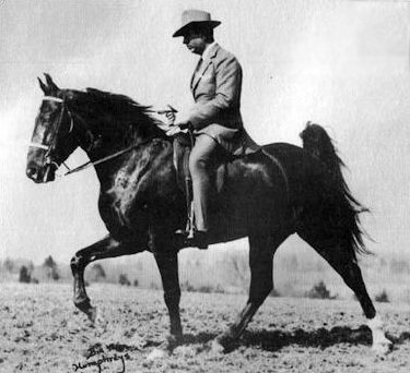 TWHAC's tweet photo. #TBT to the 1948 Tennessee Walking Horse World Grand Champion "Merry Go Boy." #tennesseewalkinghorse #tennesseewalker #TWHNC https://t.co/pVqh61oPq1