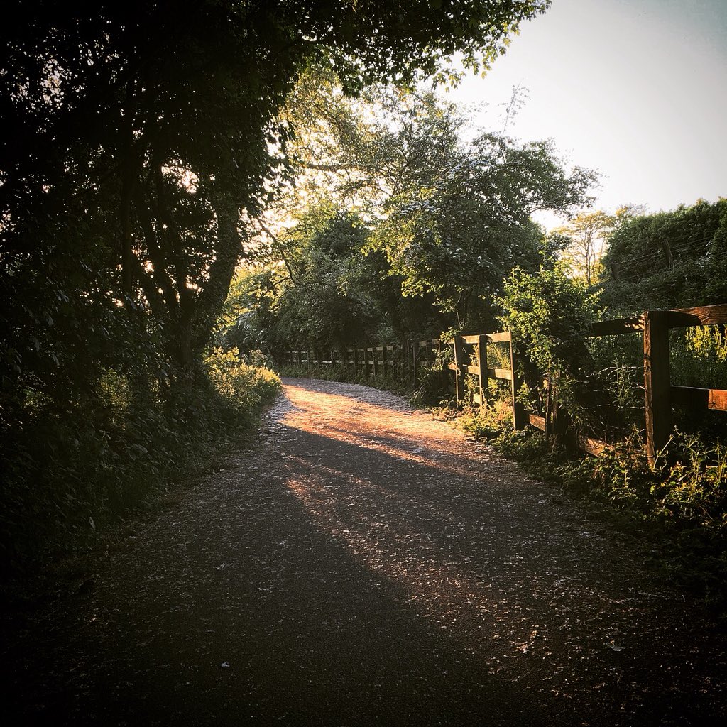 thebarnmeanwood's tweet photo. We work in paradise don’t we? #hiddenleeds https://t.co/VVch9E0tWd