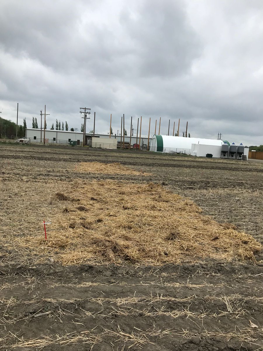 GrowStewardship's tweet photo. #FSFS18 field prep and demo plot seeding already happening! #fieldschool https://t.co/ORPEibezCC https://t.co/tGEK2EMV8t