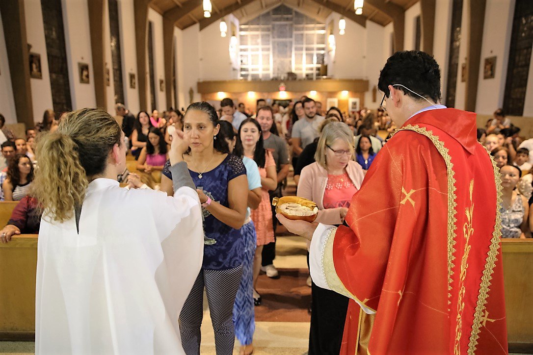 padremanzotti's tweet photo. Jesus Eucarístico, como prova da minha mais sincera gratidão, prometo receber-Vos na Santa Comunhão com maior frequência. E que eu possa, assistindo à missa e tendo me confessado, ser digna morada para Vosso Precioso Corpo e Sangue. https://t.co/2SvIA476RU