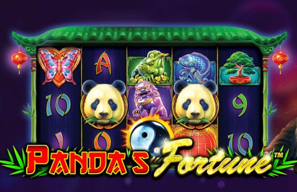 CASINOdotMX tweet picture