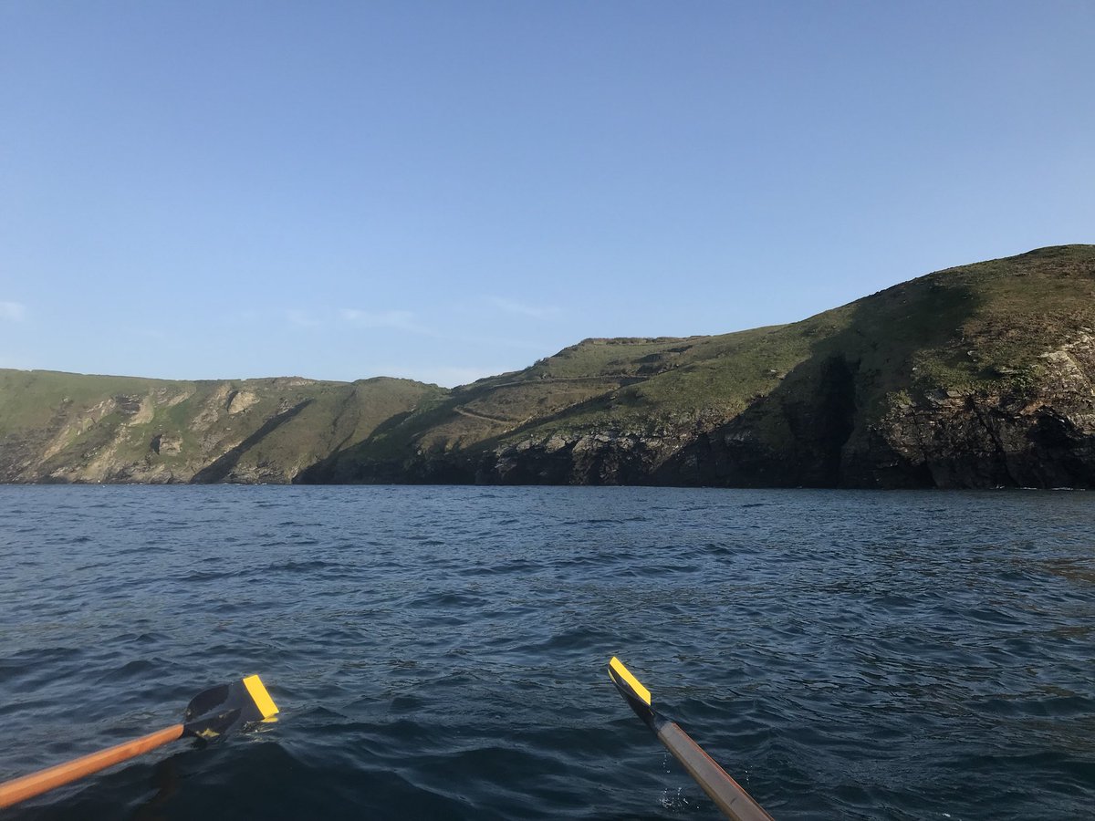 AvrilGreenaway's tweet photo. Happy happy days. Sea rows 💙💙💙 #gigrowing @BCGigClub #CleanerSeas #CleanSeas #CleanerSeasProject So many sea birds this evening 💫 https://t.co/QW7RGGb4y9
