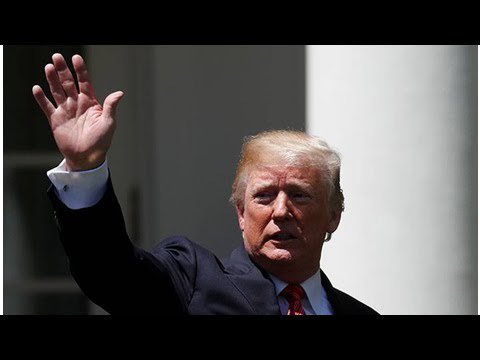 Nigtubemedia's tweet image. Donald Trump calls unauthorized immigrants ‘animals,’ prompts rebuke from Democrats - National #DonaldTrump #unauthorizedimmigrants‘animals b2s.pm/g1q8K7