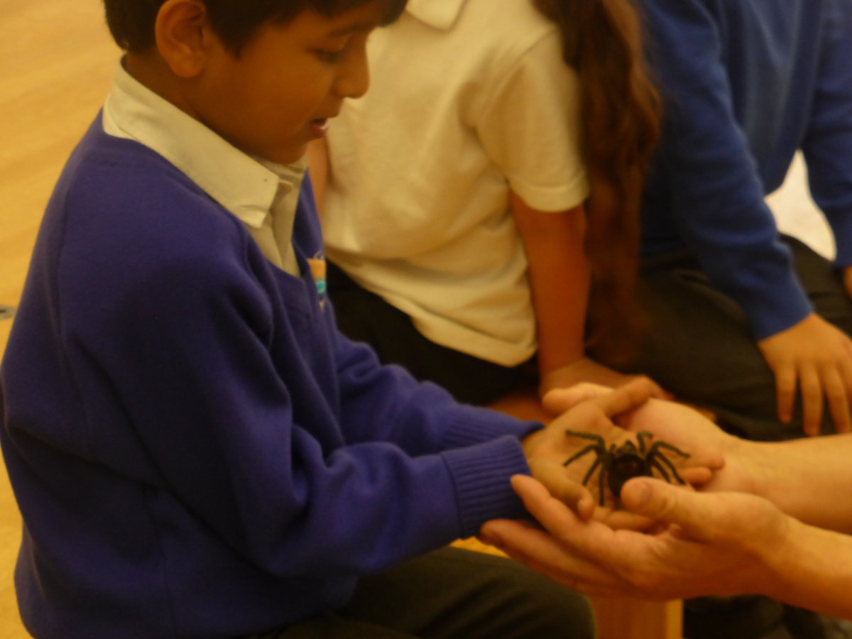 Pine Tree tweet media