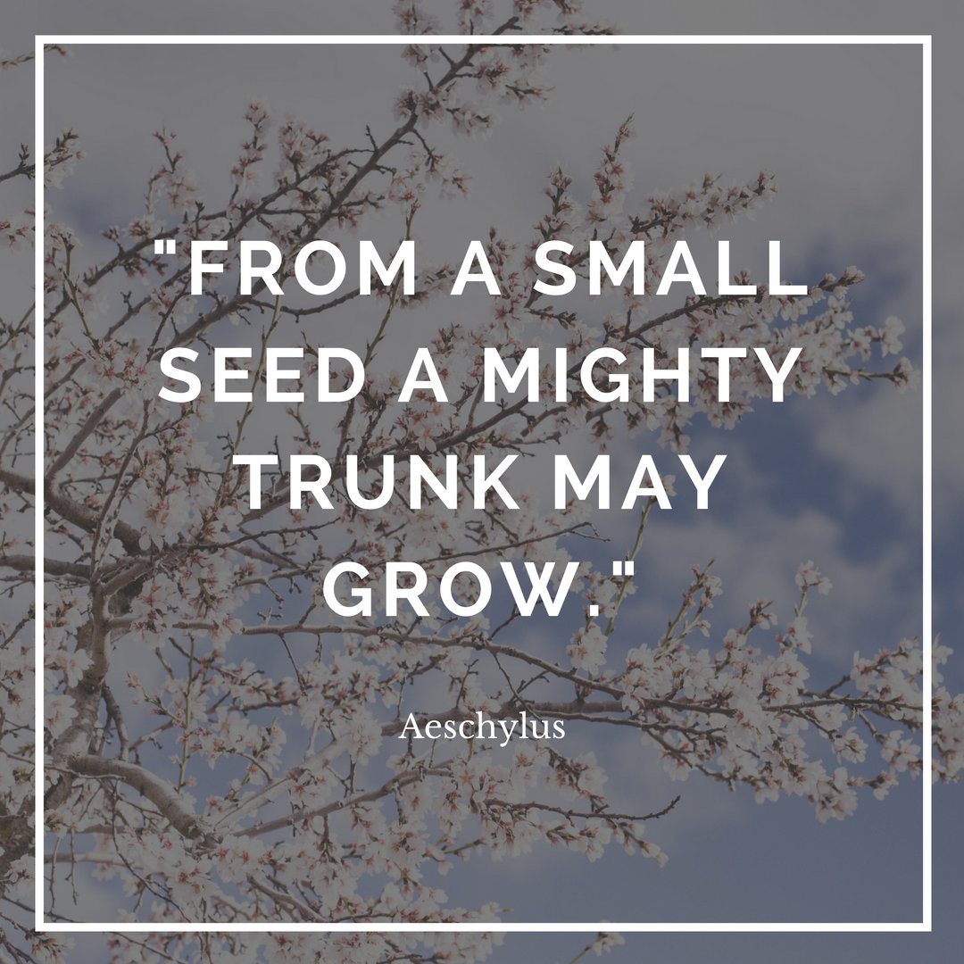 infinitealoe's tweet photo. What a wonderful inspiration! 
https://t.co/uhfiw6SYbt 
#Quote #Inspired #InfiniteAloe https://t.co/yYpVQ8bO3I