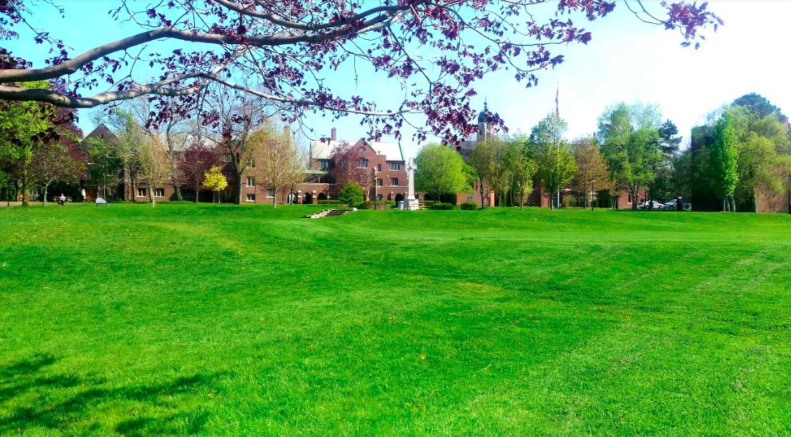MsUrosevic's tweet image. I love this place 😊💫🐻 Have an awesome long weekend, Bears! #tcsprops @TCSBears
