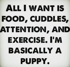 LimitlessTony's tweet photo. Food, cuddle, attention, and exercise. What else do you need? #workoutpuppy https://t.co/tD8HYPIBzP