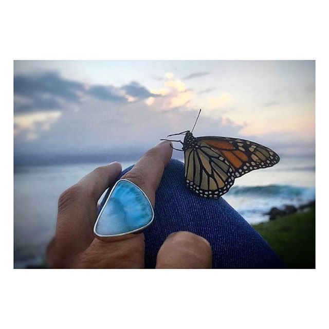 AngelAlchemy1's tweet photo. TBT! Thank you for sharing this photo one year ago, @dolphinkl is so magical. This piece of Larimar looked just like a butterfly wing and the lovely new owner of the ring had this butterfly encounter with the ring and captured this amazing photo <3. I ca… https://t.co/YALCnK77pC https://t.co/3HerZvG6cY