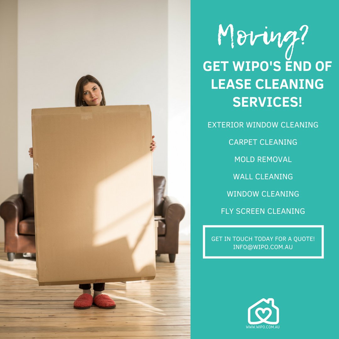 WipoApp's tweet photo. Moving? Let WIPO help you with your end of lease cleaning. https://t.co/KMtrUu7jbL