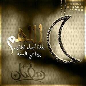 nmjok233's tweet image. 