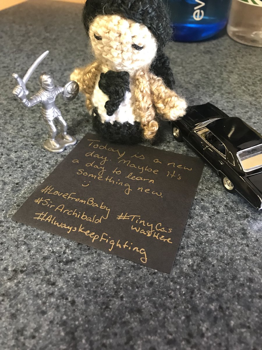 LoveFromBaby's tweet photo. Baby and #SirArchibald got a new friend! #TinyCasWasHere #LoveFromBaby #alwayskeepfighting #SaveWaywardSisters https://t.co/Zn7T6oRerd