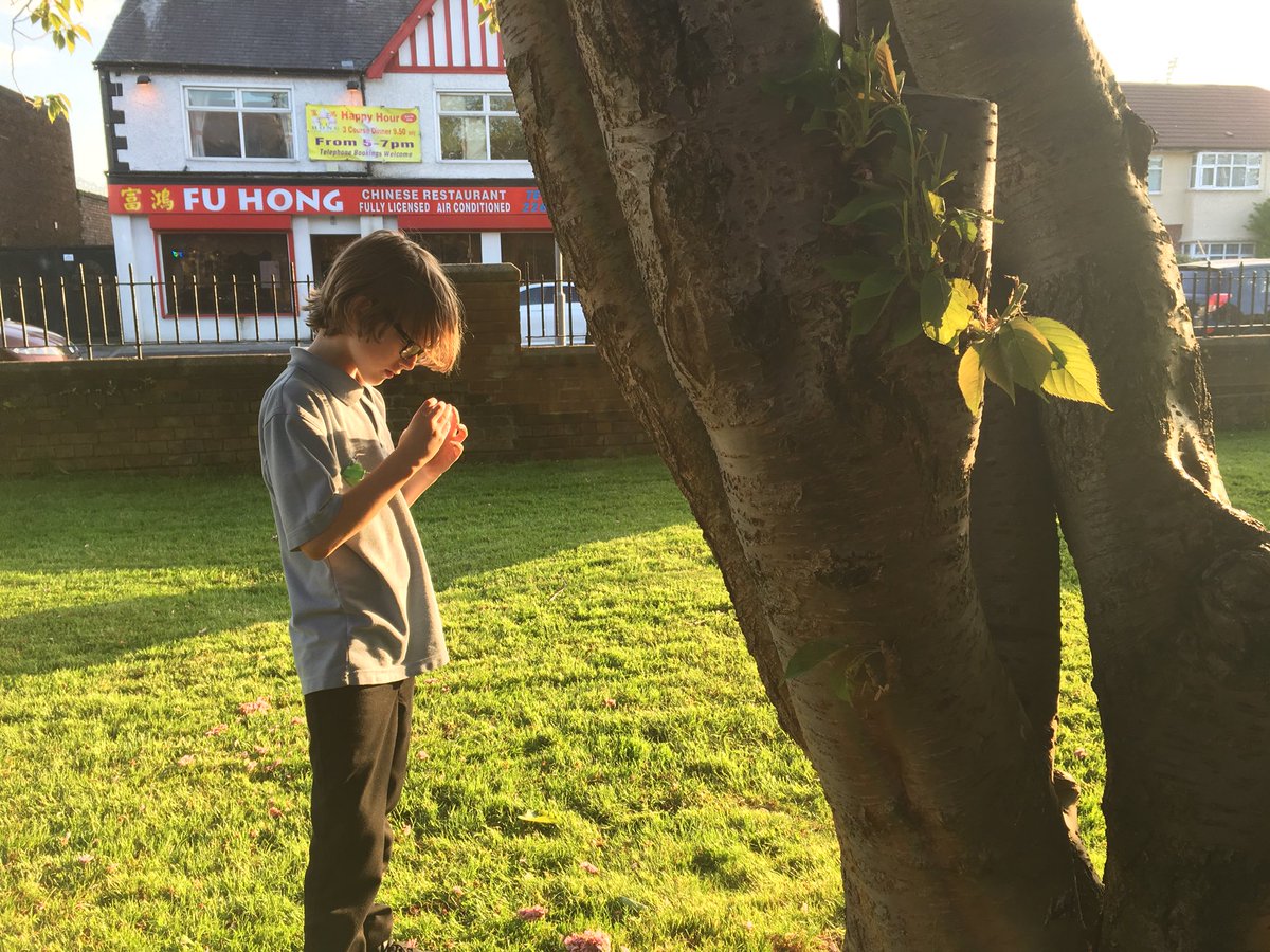 9th_fairfield's tweet photo. Mini beast hunting for the Gardener badge tonight in Cubs! 🐌 https://t.co/5FU1ZINdkP