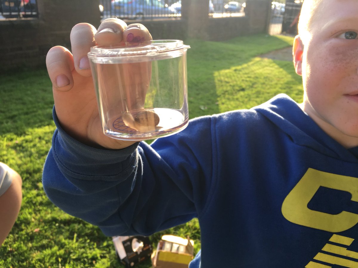 9th_fairfield's tweet photo. Mini beast hunting for the Gardener badge tonight in Cubs! 🐌 https://t.co/5FU1ZINdkP