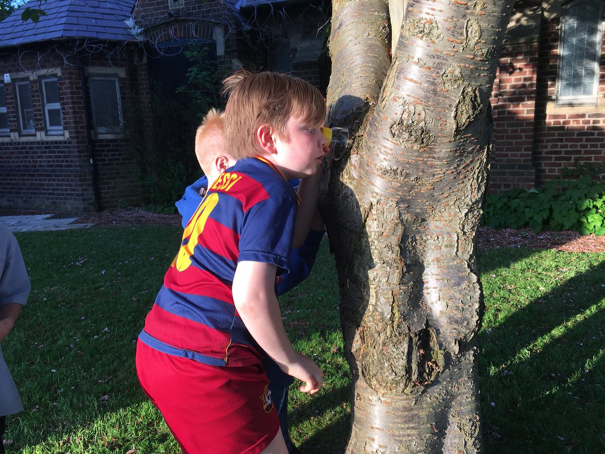 9th_fairfield's tweet photo. Mini beast hunting for the Gardener badge tonight in Cubs! 🐌 https://t.co/5FU1ZINdkP