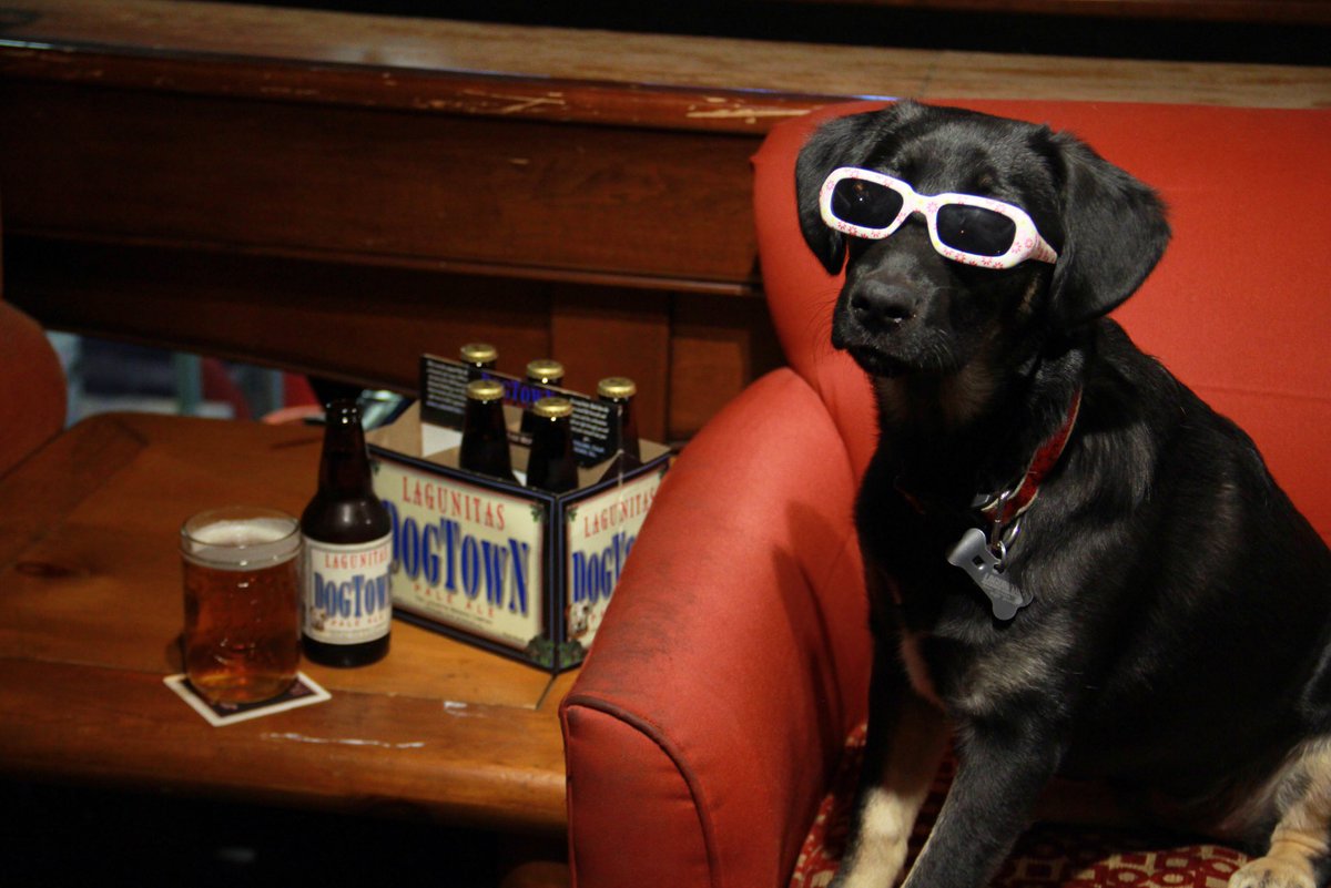lagunitasbeer's tweet photo. Leader of the (six) pack... #DogTownPaleAle.  Sniff some out > https://t.co/iZlwSW3mlb https://t.co/oTp2VfOZZ8