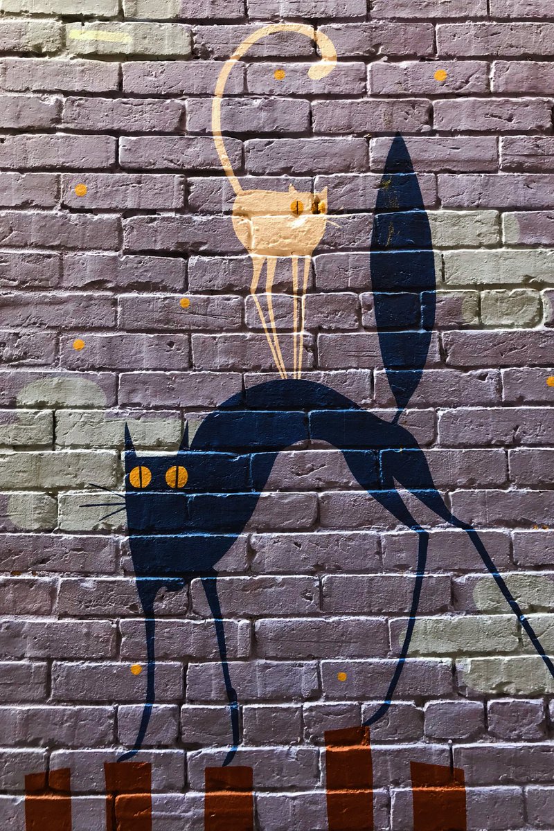 RVAdventures's tweet photo. According to a plaque hanging in the alley, #CatAlley got its name from the late C.T. Durgin, who once saw a fierce battle there between two felines. 🙀 Artists have painted themed murals on one side, featuring cute cats to pay homage to the alley’s nickname. 😻 #VanLife https://t.co/a66MU49X7L