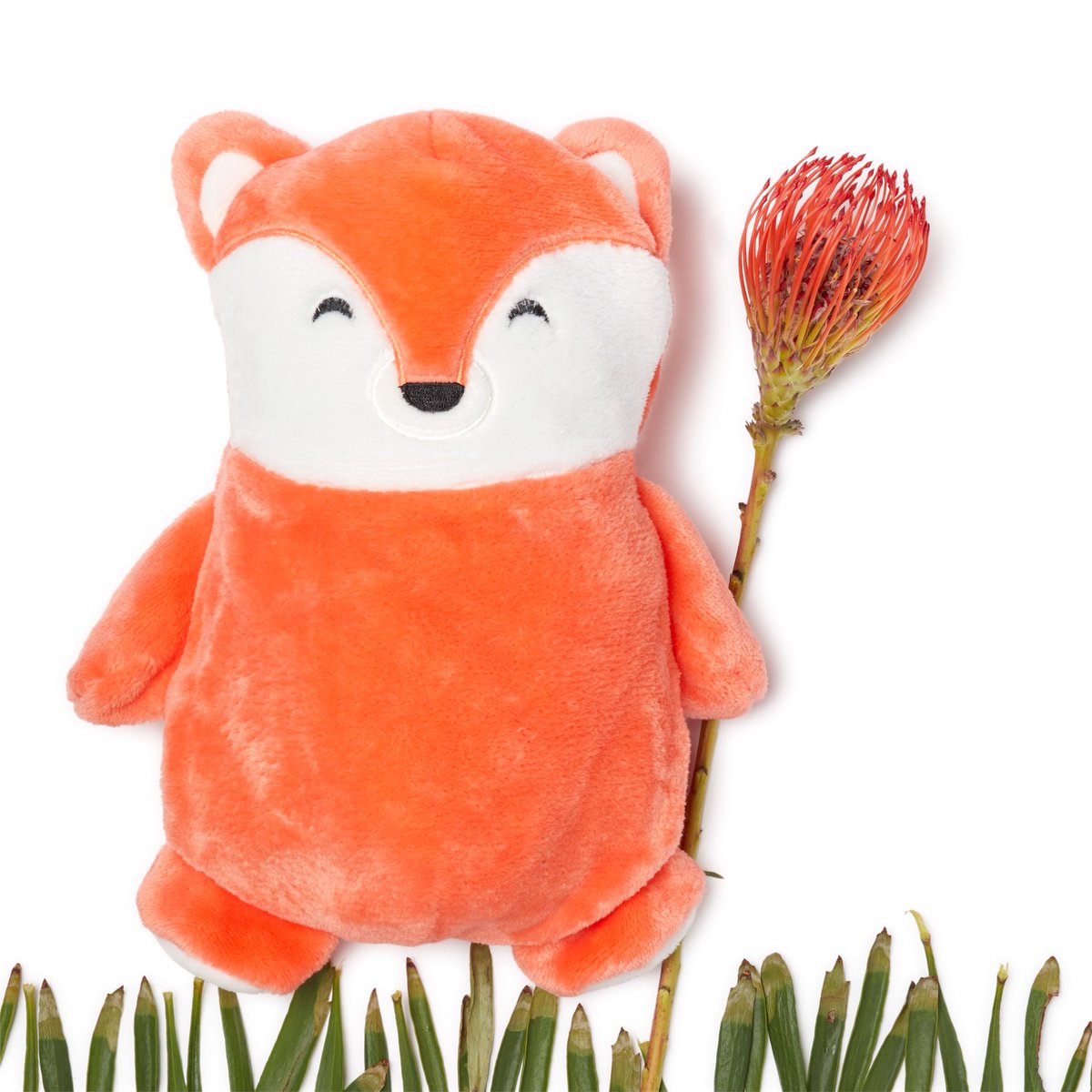 cubcoats fox